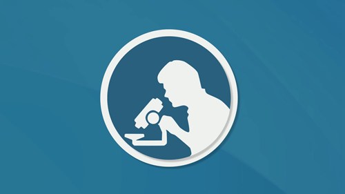 糙米比精米健康吗