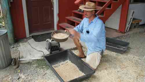 燕麦的脱粒加工