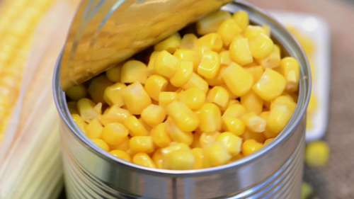 甜玉米的种植、收获和加工