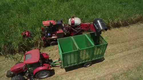 澳大利亚新南威尔士州的制糖工业