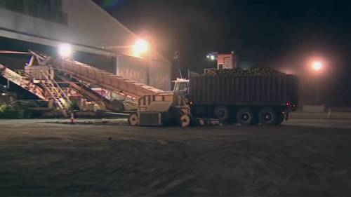 明尼苏达州的甜菜加工