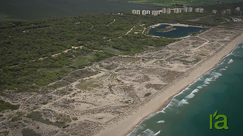 葡萄牙阿尔布费拉自然保护区