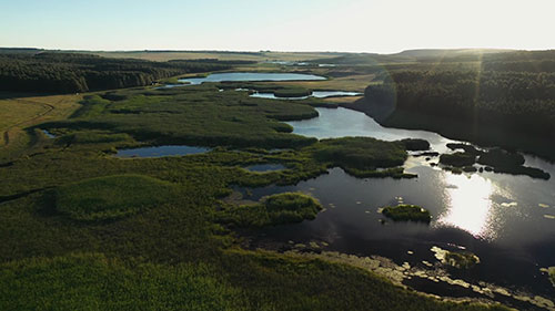 南非Belfast湿地保护区