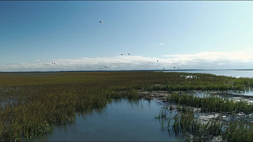 了解美国海洋保护区中心
