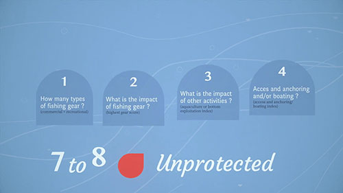 对海洋保护区进行分类