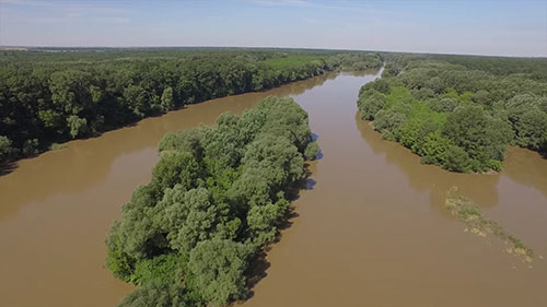 自然保护区的委托管理方式