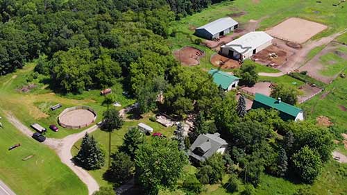 牛群的轮流放牧