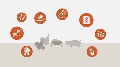 保护牲畜的肠道健康