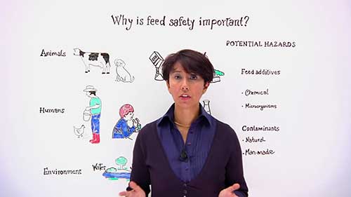 饲料添加剂的安全使用