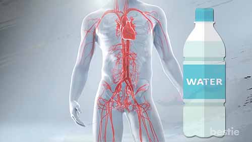 六种基本营养素