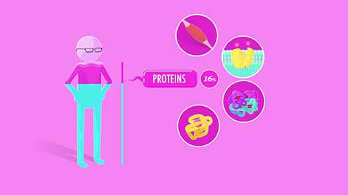新陈代谢与营养