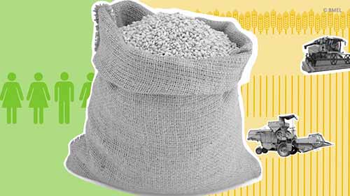 全球粮食安全和营养