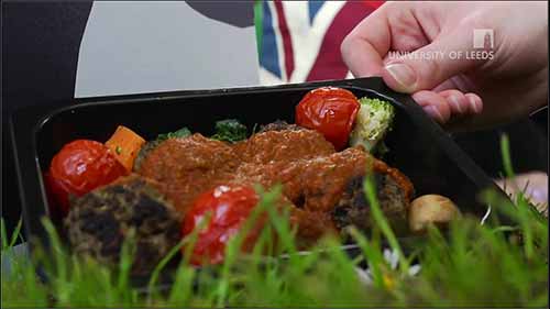 食品营养学项目