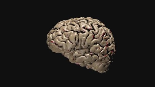 世界上使用最广泛的农药