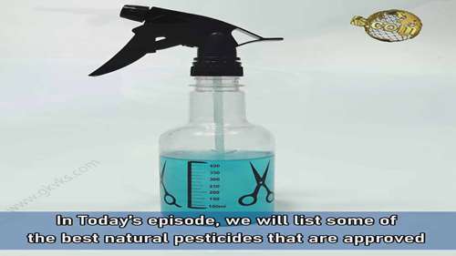 有机蔬菜的杀虫剂