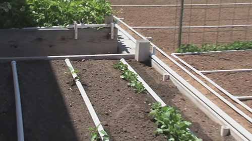 如何建立PVC滴灌系统