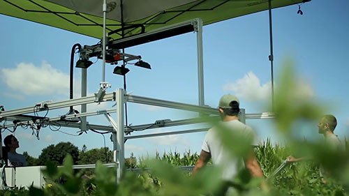 用高光谱成像技术检测作物病害