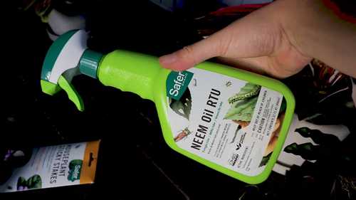 有用的害虫防治方法