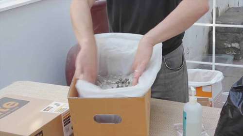 如何用硬纸板种平菇