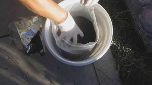 用咖啡渣种植平菇