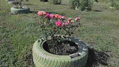 钻孔PVC灌溉系统