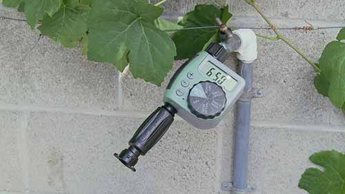 如何用滴管进行滴灌