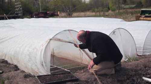 鸭稻综合养殖 1