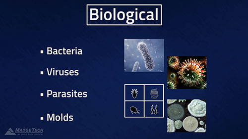 食品加工者关注安全问题