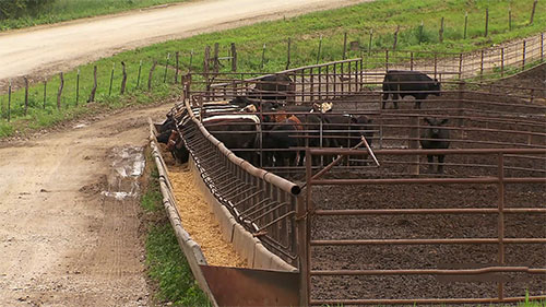 农产品颗粒物污染