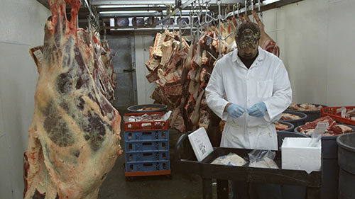 如何进行肉类产品取样