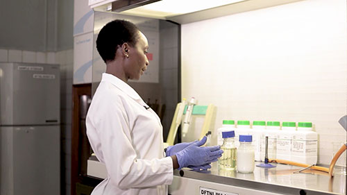 沙门氏菌的取样和检测