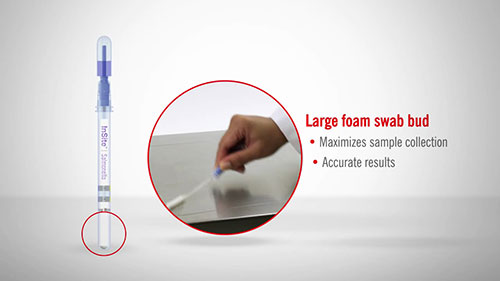 沙门氏菌采样演示