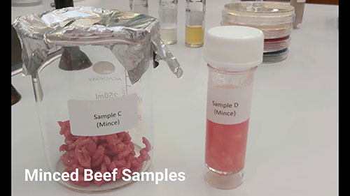 牛肉样品的微生物学分析