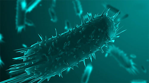 如何避免沙门氏菌感染