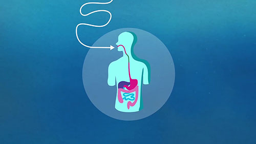 生食海鲜中寄生虫的危害