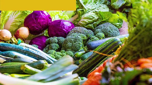 什么是交叉感染