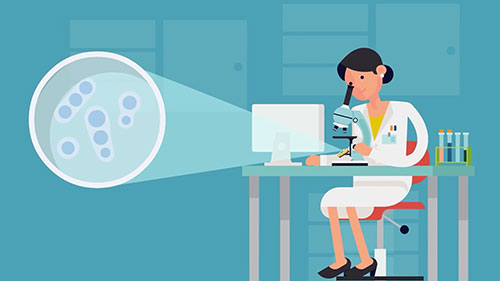 食物中的霉菌及其危害