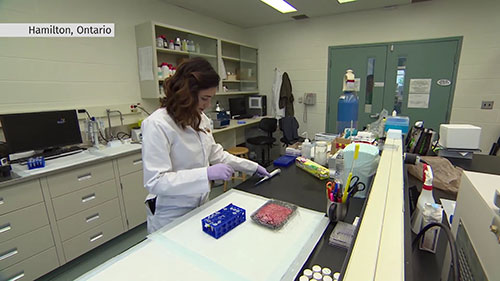 检测大肠杆菌的方便贴片