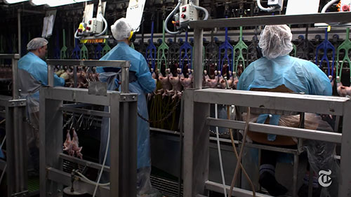 汉堡肉中毒和食源性疾病