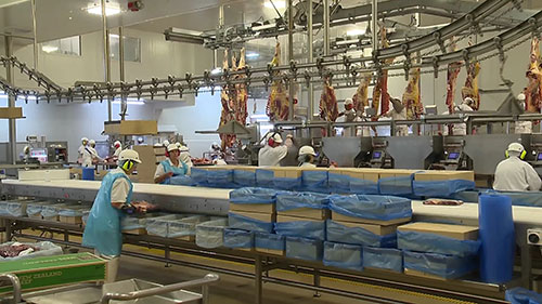 新西兰的肉类加工