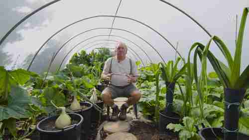 如何高产量种植蔬菜