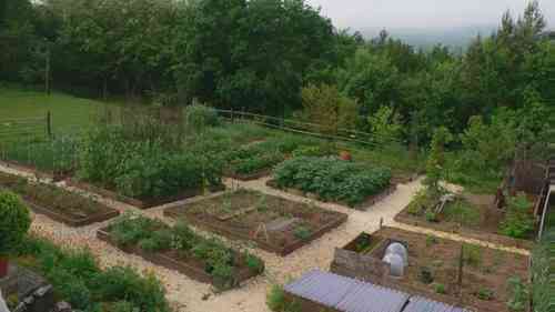 蔬菜的作物轮作方法