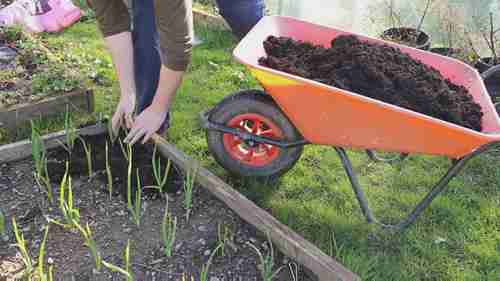 如何能够全年种植丰富的蔬菜