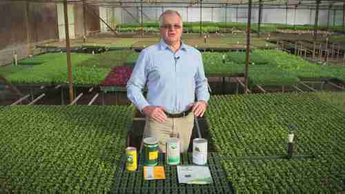 如何生产蔬菜苗