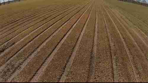 如何减少蔬菜生产中的耕作