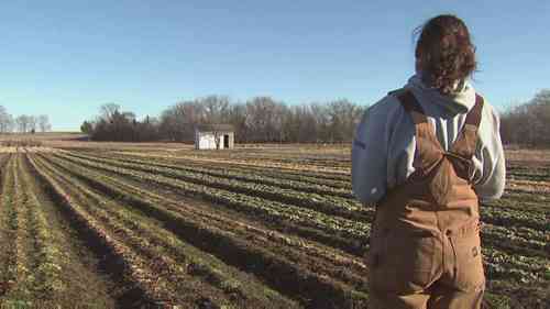 可持续蔬菜生产以及奶酪制作