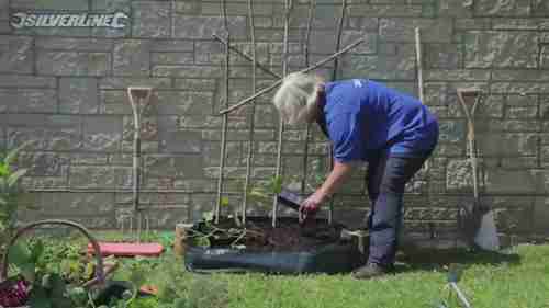 如何在有限的空间里种植蔬菜