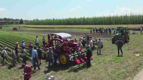 蔬菜生产中的机械除草