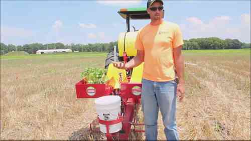 用免耕插秧机种植蔬菜