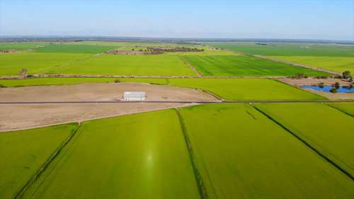 在加利福尼亚的沙漠种植水稻